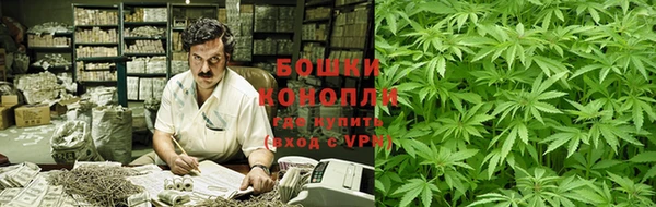 гидра Пестово
