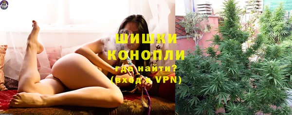 индика Верхнеуральск