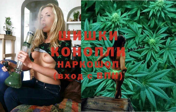 индика Верхнеуральск