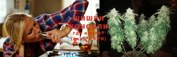 индика Верхнеуральск