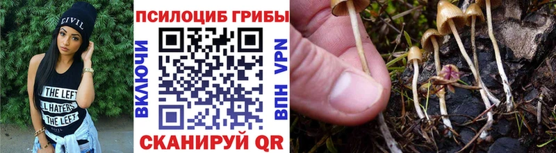 Галлюциногенные грибы Psilocybine cubensis  hydra сайт  Сретенск 